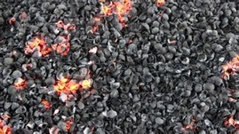 F­ı­n­d­ı­k­ ­k­a­b­u­ğ­u­n­d­a­n­ ­m­a­n­g­a­l­ ­k­ö­m­ü­r­ü­ ­ü­r­e­t­i­l­i­y­o­r­